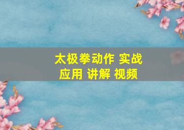 太极拳动作 实战应用 讲解 视频